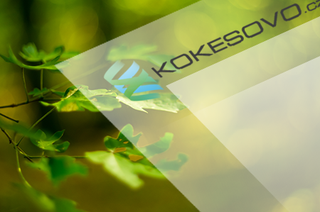 připojte se v Kjótu