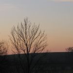 prochazka_16_01_2011_04.jpg
