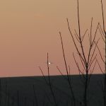 prochazka_16_01_2011_03.jpg