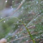 P9280162www.jpg