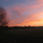 prochazka_16_01_2011_10.jpg