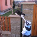 prochazka_16_01_2011_05.jpg