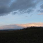 prochazka_15_01_201104.jpg