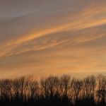prochazka_16_01_2011_06.jpg