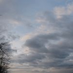 prochazka_15_01_201103.jpg