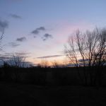 prochazka_15_01_201110.jpg